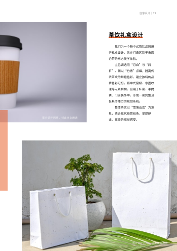 营销广告品牌策划企业画册模板 - 第19页