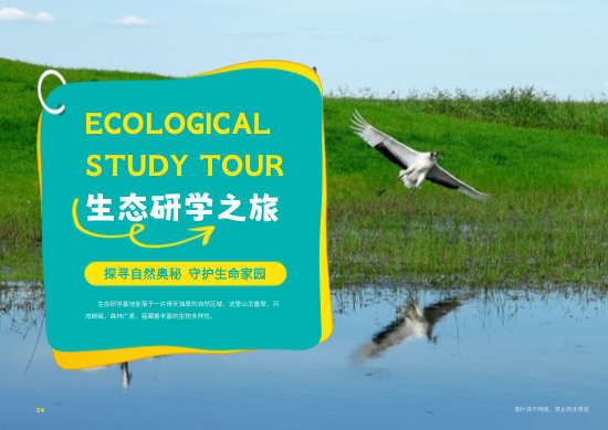 青少年研学旅游课程产品画册模板 - 第4页