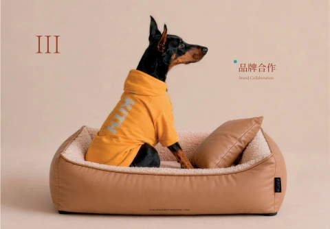 第14页缩略图