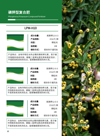 通用花肥盆栽有机肥产品画册模板 - 第10页