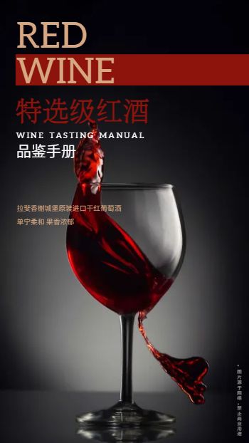 黑金香槟红葡萄酒产品宣传画册模板 - 封面预览