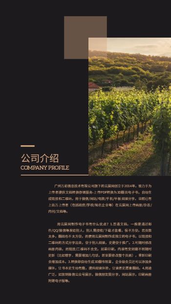 黑金香槟红葡萄酒产品宣传画册模板 - 第4页