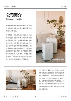学生行李箱旅行密码箱产品画册模板 - 第3页
