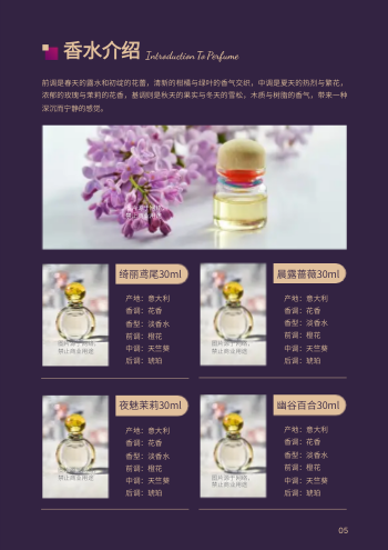 线条鎏金女士香水产品画册模板 - 第5页