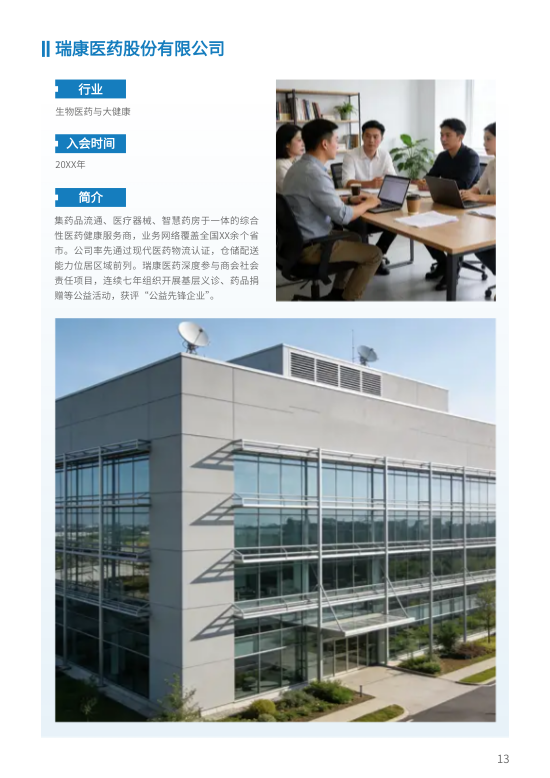 简约区域商会行业协会宣传册设计 - 第13页
