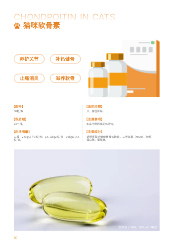 宠物健康保健品产品画册模板 - 第10页