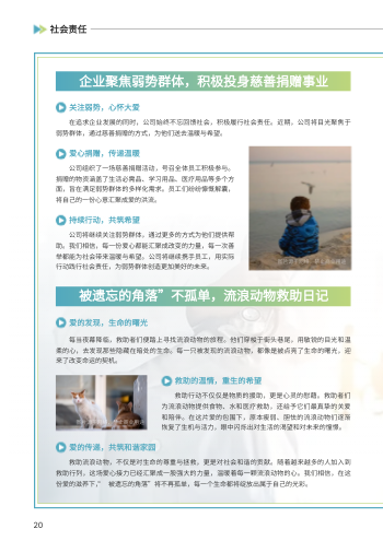 软件开发互联网企业内部报刊设计 - 第20页