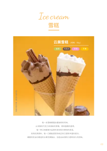 网红雪糕冷冻甜品产品画册设计 - 第3页
