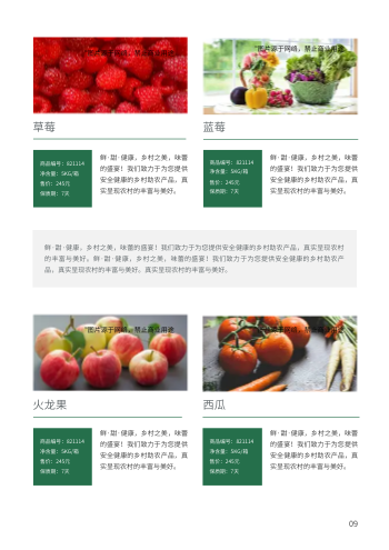 扶贫助农有机农副产品画册制作 - 第9页